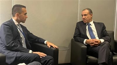 وزير الخارجية: وقف الحرب على غزة مفتاح التهدئة في المنطقة