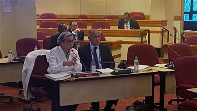 وزيرة البيئة تشارك في اجتماع مجلس إدارة المبادرة الأفريقية للطاقة المتجددة