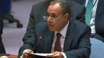وزير الخارجية: أولوية مصر القصوى هي وقف حمام الدم بالمنطقة