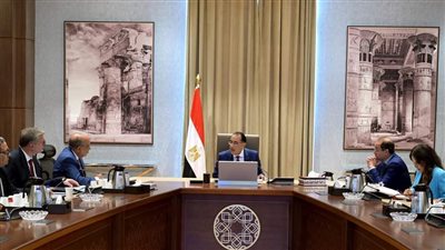 رئيس الوزراء يتابع جهود توفير المواد البترولية اللازمة لتشغيل محطات الكهرباء