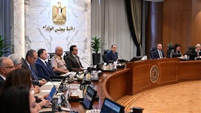 مجلس الوزراء يوافق على 2200 جنيه سعراً استرشادياً لأردب القمح لموسم 2024 - 2025