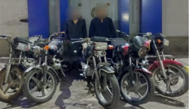 القبض على 14 شخصا بينهما سيدتان لقيامهم بأعمال سرقات متنوعة بالقاهرة(صور)