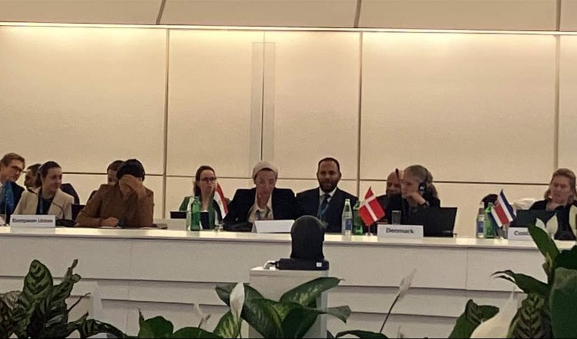 جانب من فعاليات الجلسة