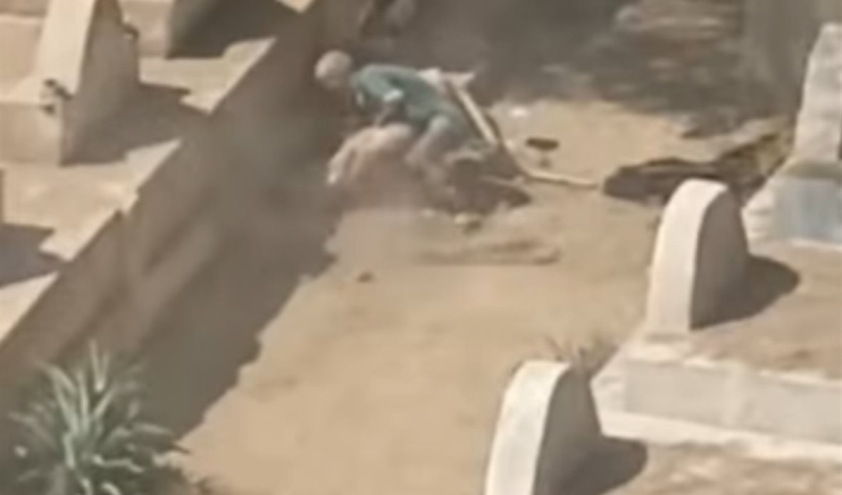 الواقعة
