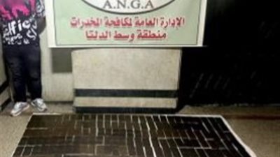 ضبط 3 عناصر إجرامية بحوزتهم 350 طربة حشيش و20 ألف قرص بـ 5 ملايين جنيه (صور)