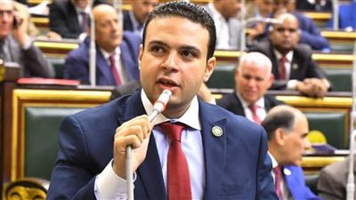 برلماني يرفض نقل تبعية صندوق مصر السيادي لمجلس الوزراء: ينال من استقلاليته