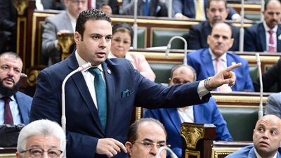 طلب إحاطة بشأن حديقة الزهرية وبرج الزمالك