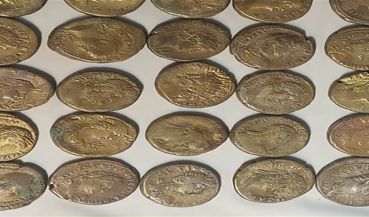 المضبوطات 