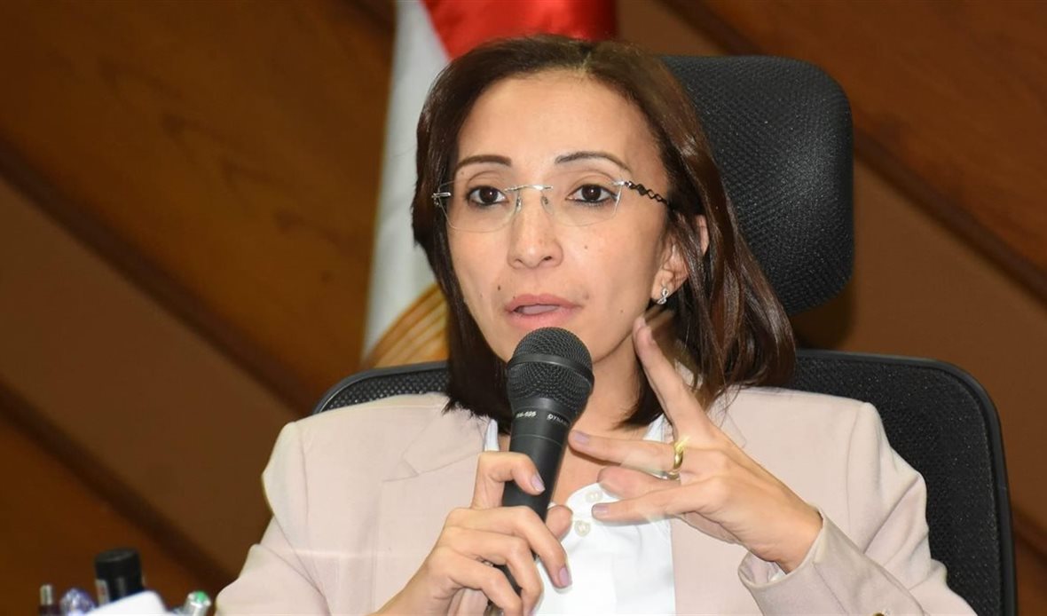 محافظ البحيرة