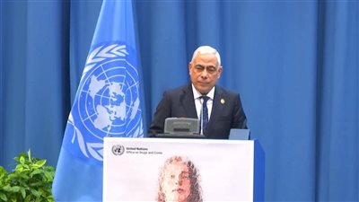 مصر تدعو لتعاون دولي أوسع لمكافحة الجريمة المنظمة في مؤتمر أممي بفيينا.