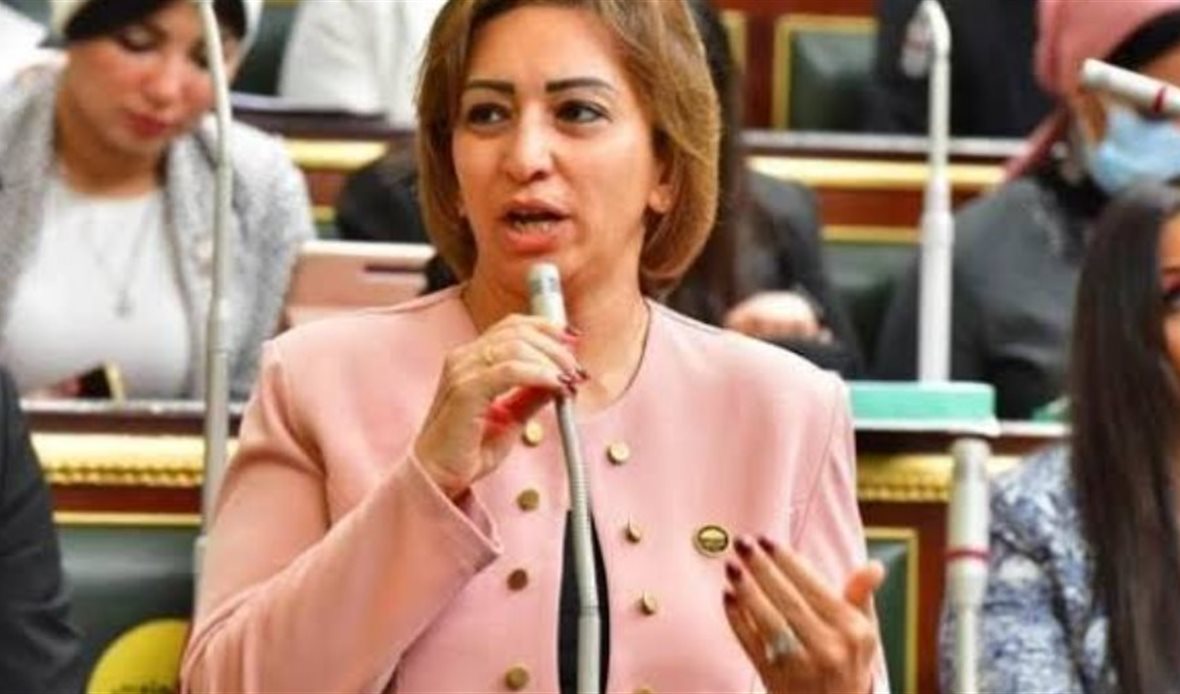 النائب مها عبدالناصر