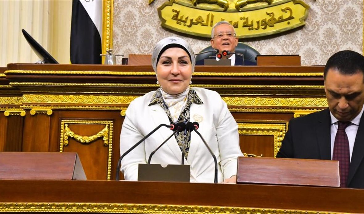 النائبة هالة أبو