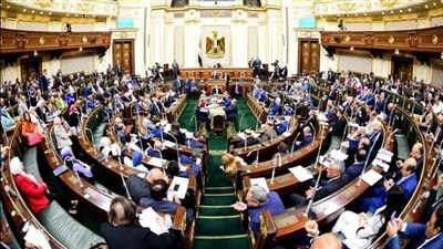 البرلمان يوافق على مساهمة مصر في الاكتتاب في زيادة رأسمال مؤسسة التمويل الدولية