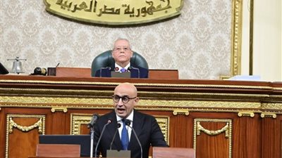 وزير التعليم أمام النواب يكشف أهم تحديات الوزارة