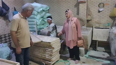ضبط 9 أطنان من الأسمدة والدقيق و1980 لتر زيت سيارات مجهول المصدر في حملات تفتيشية بالشرقية