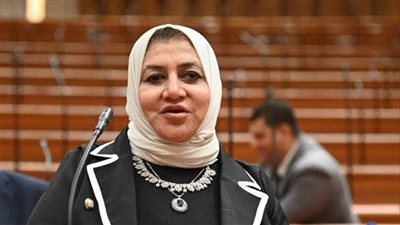 النائبة حنان عمار: قانون الضمان الاجتماعى يضمن وصول الدعم النقدي لمستحقيه