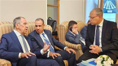 وزير الخارجية يلتقي نظيره الروسي على هامش قمة مجموعة بريكس