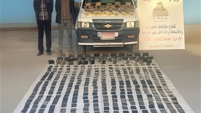 الإسكندرية: القبض على تجار مخدرات بحوزتهم 850 طربة حشيش