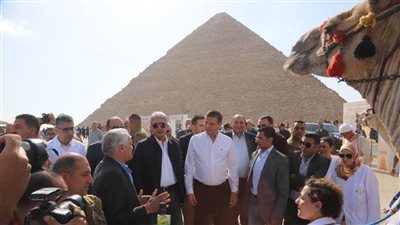إطلاق البرنامج الوطني لرعاية الخيول والإبل في الأهرامات.. دعم بيطري مجاني لتعزيز السياحة والرفق بالحيوان