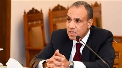 تفاصيل لقاء بدر عبد العاطي وزير العلاقات الدولية بجنوب أفريقيا