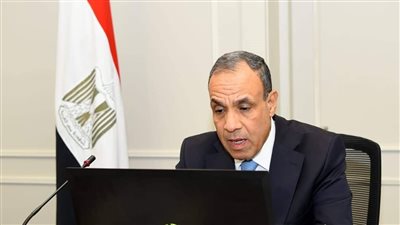 وزير الخارجية يعقد لقاءً افتراضيًا مع ممثلي الجالية المصرية في قطر