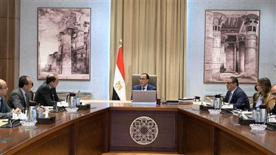 رئيس الوزراء يستعرض مع وزير المالية عدداً من ملفات العمل