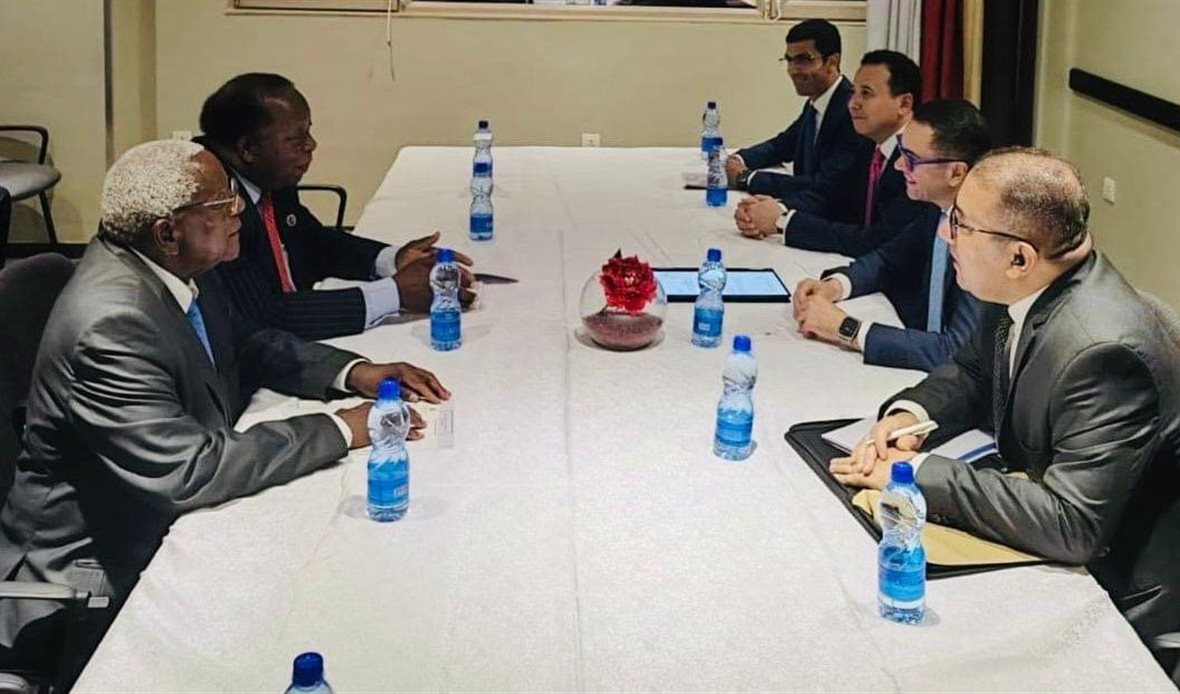 جانب من اللقاء
