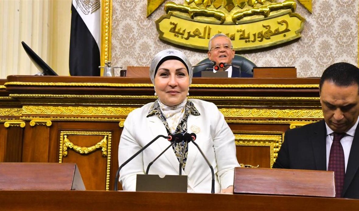النائبة هالة أبو