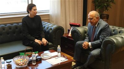 وزير الكهرباء يستقبل سفيرة قبرص بالقاهرة