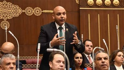 عضو مجلس الشيوخ يكشف حقيقة اتجاه الدولة لبيع المطارات
