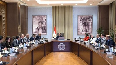 رئيس الوزراء يستعرض مع وزير الكهرباء موقف مشروعات الطاقة الجديدة والمتجددة طبقاً لرؤية 2040