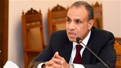 وزير الخارجية والهجرة يعقد لقاء افتراضياً مع أعضاء الجالية المصرية في الإمارات
