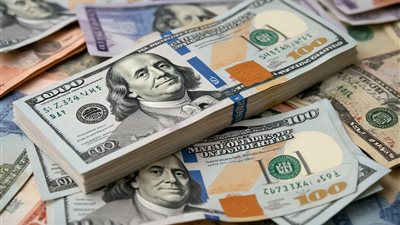 ضبط شخصين بالإسكندرية لغسل أموال من الإتجار غير المشروع بالنقد الأجنبي