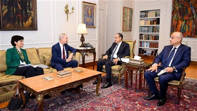 وزير الخارجية: حقوق الإنسان في مصر تتقدم بخطوات غير مسبوقة بشراكة دولية ورؤية شاملة