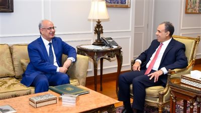وزير الخارجية يتسلم رسالة من رئيس موريتانيا للرئيس السيسي