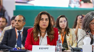 مصر تقود الحوكمة المتعددة لبناء مدن أكثر استدامة