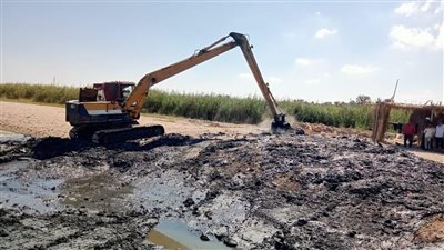 بحيرة قارون تعود إلى الحياة: جهود مستدامة لإحياء الثروة السمكية ودعم الصيادين في الفيوم