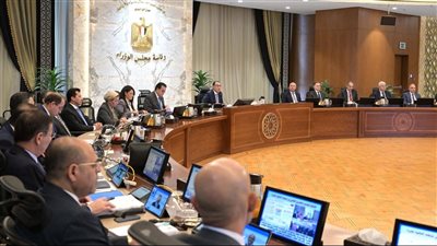 قرارات جديدة من مجلس الوزراء لدعم الاستثمار والتنمية في مصر