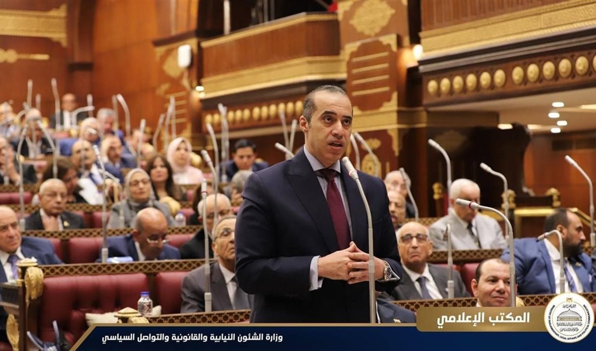 المستشار محمود فوزي