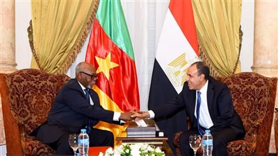 انعقاد اللجنة المصرية - الكاميرونية المشتركة برئاسة وزيري خارجية البلدين في القاهرة