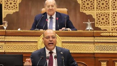 جبران: إشادة المنظمات الدولية بما حققته مصر بملف مكافحة الهجرة غير الشرعية