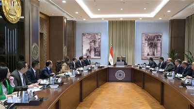 رئيس الوزراء يتابع موقف أنشطة البحث والاستكشاف عن الثروات الطبيعية والمعادن النفيسة