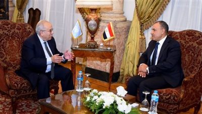 وزير الخارجية: الهدف الأساسي للتحرك لوقف إطلاق النار بالسودان هو حفظ سيادته