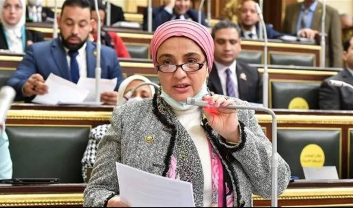 النائبة سميرة الجزار