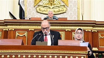 برلمانية 