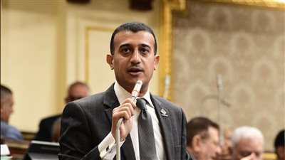 طارق الخولي يعلن الموافقة على مشروع قانون لجوء الأجانب 