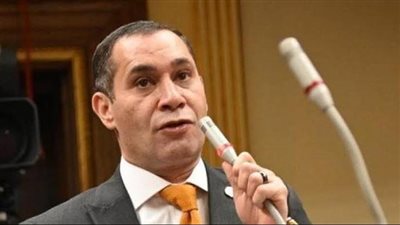 برلماني: مشروع قانون لجوء الأجانب يأتي حفاظا على الأمن القومي لمصر