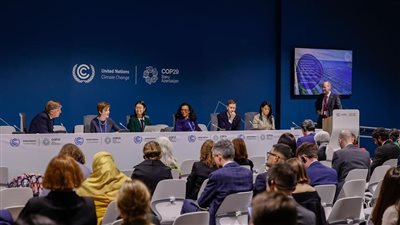 مصر في COP29: التحول الأخضر يفتح آفاق التنمية ويعيد تشكيل سوق العمل