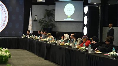 وزير الاستثمار: خطة شاملة لجذب الاستثمار وتوطين الصناعة في مصر
