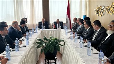 وزير الخارجية يلتقي عددا من رجال الأعمال الكونجوليين لتعزيز التعاون الاقتصادي والتجاري بين البلدين